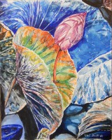 /album/aquarell/a099-jpg/
